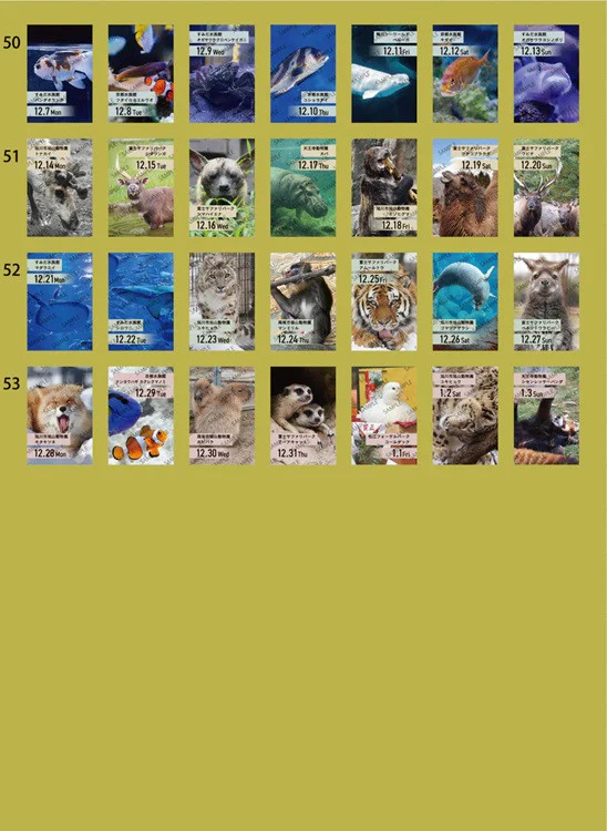 Kalendarz dzienny himekuri 2026 | ZOO - Image 10