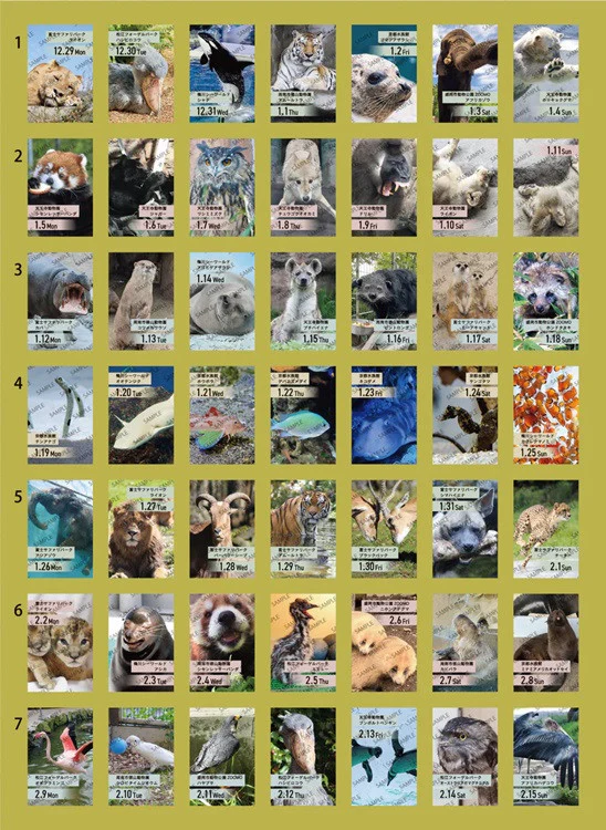 Kalendarz dzienny himekuri 2026 | ZOO - Image 3