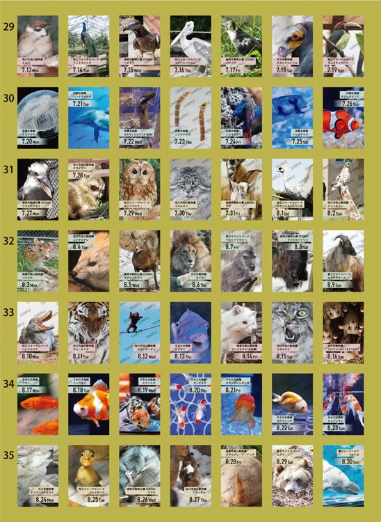 Kalendarz dzienny himekuri 2026 | ZOO - Image 7