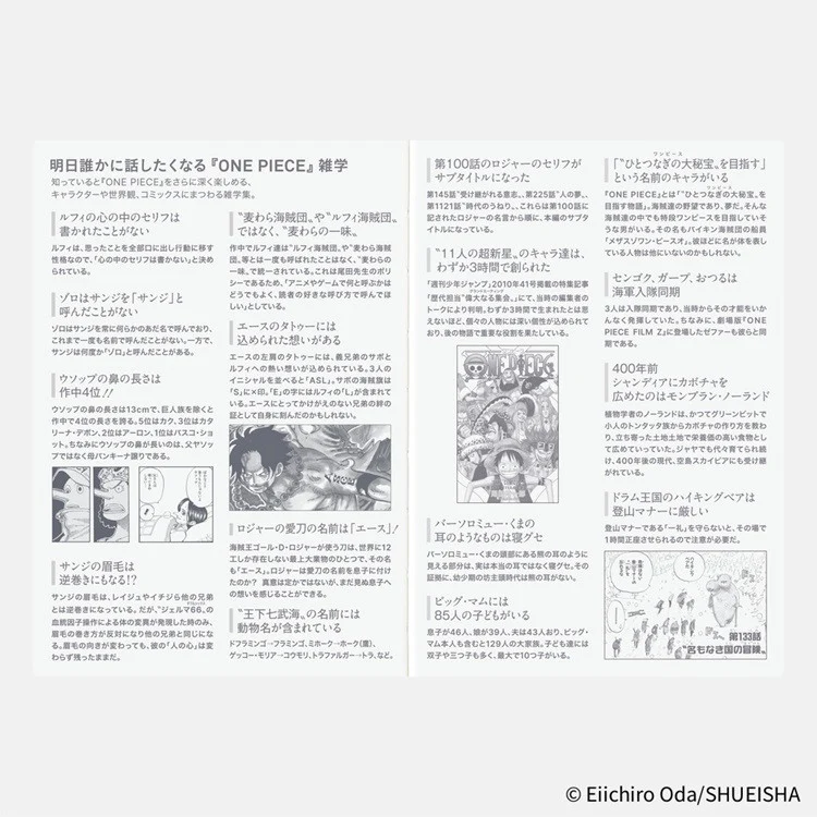 Kalendarz dzienny Hobonichi Techo 2026 | One Piece | Edycja japońska | A6 - Image 11