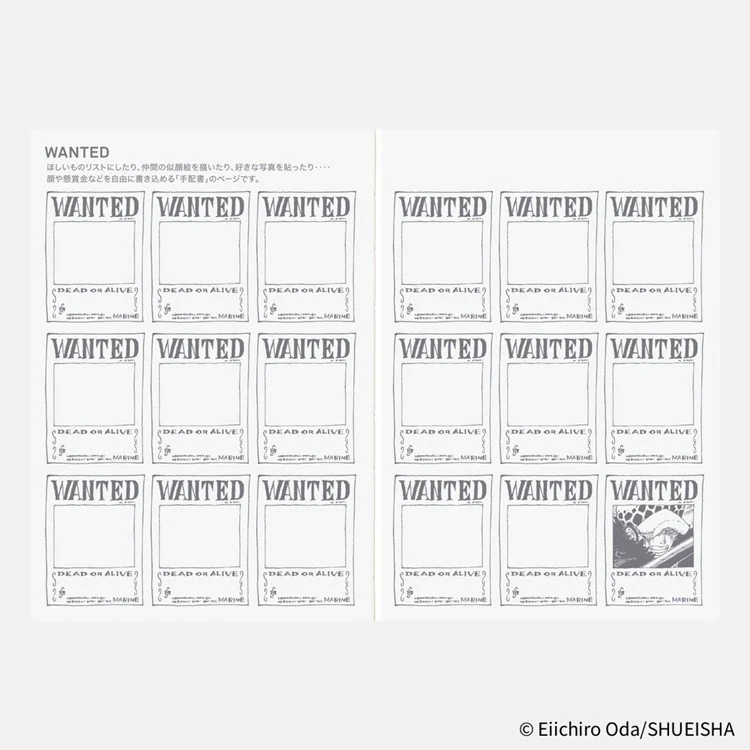 Kalendarz dzienny Hobonichi Techo 2026 | One Piece | Edycja japońska | A6 - Image 12