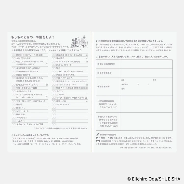 Kalendarz dzienny Hobonichi Techo 2026 | One Piece | Edycja japońska | A6 - Image 13