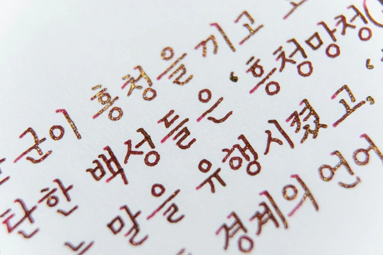 Atrament Colorverse Ink Kingdom Series | heungcheong mangcheong - Image 6