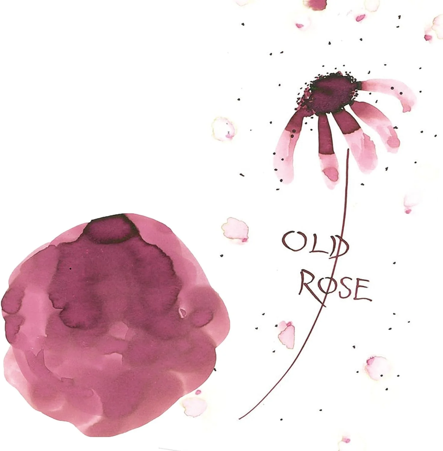 Atrament Kuretake Ink-Cafe Art Nouveau | Old Rose - Image 3