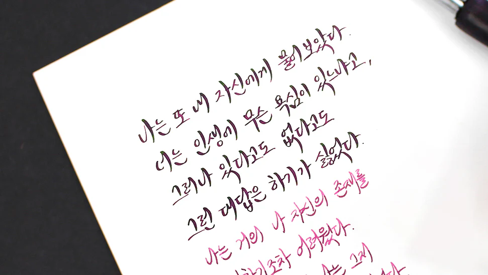 Atrament Wearingeul Literatura koreańska | A taxidermied Genius - Image 3