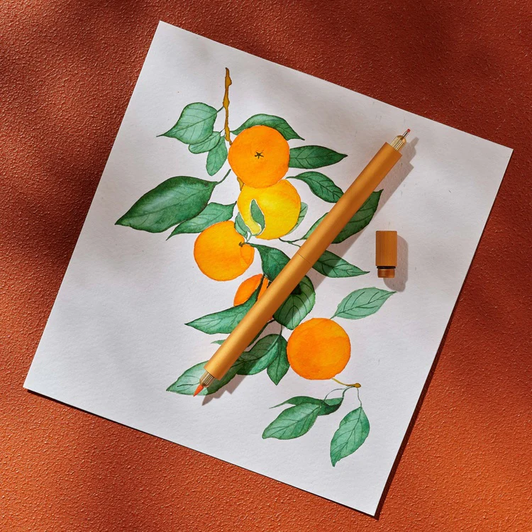 Cienkopis z wymiennymi końcówkami Tom's Studio Lumos Pro Duo Tip | Clementine - Image 2