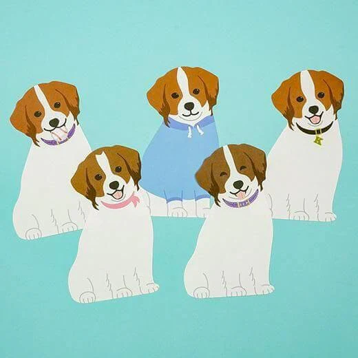 Karteczki memo | Kooikerhondje - Image 6