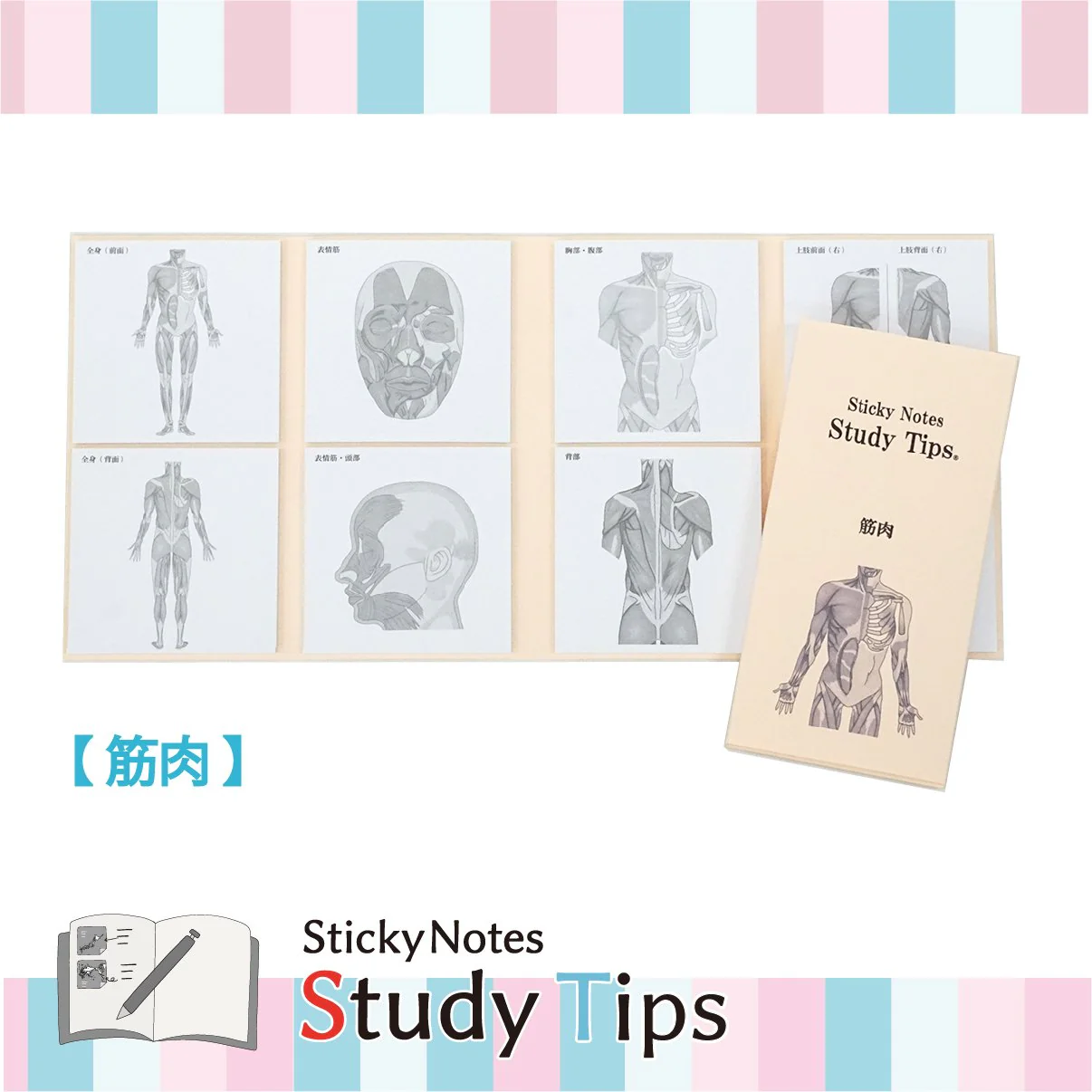Karteczki samoprzylepne Study Tips
