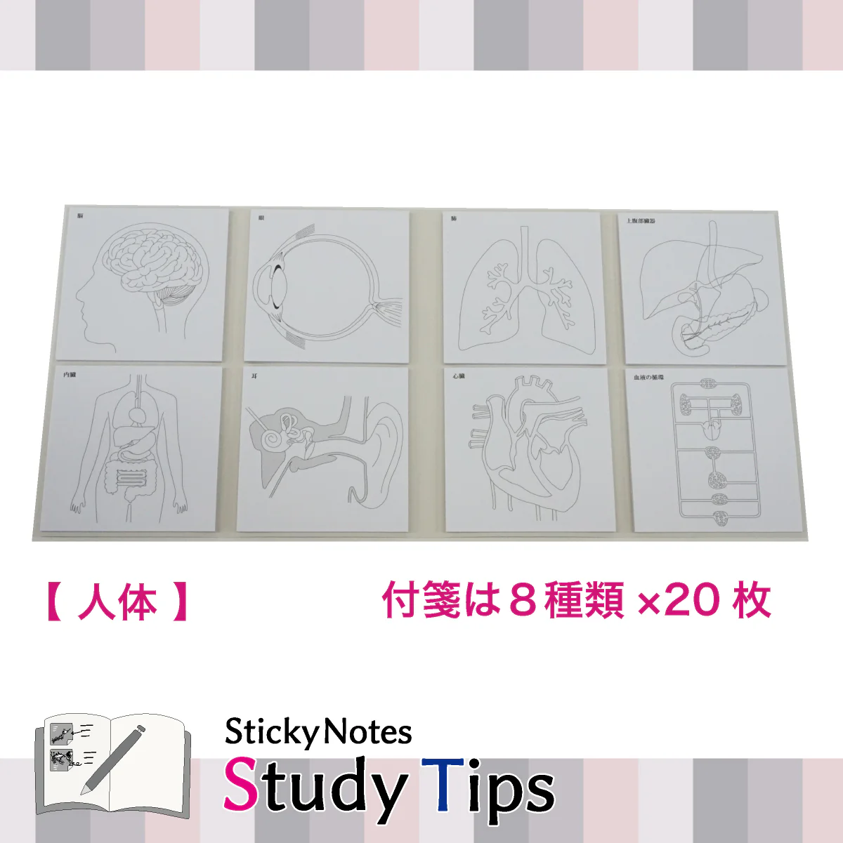Karteczki samoprzylepne Study Tips - Image 11