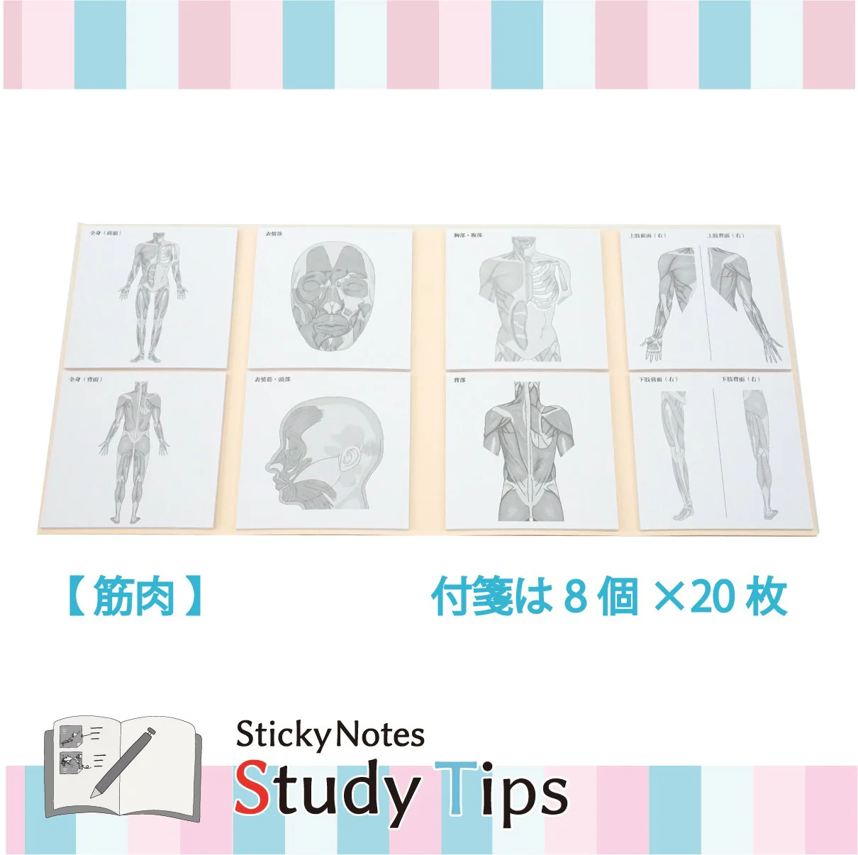 Karteczki samoprzylepne Study Tips - Image 12