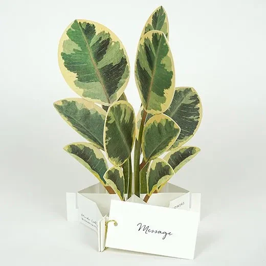 Kartka okolicznościowa 3D Blooming | Fikus - Image 2