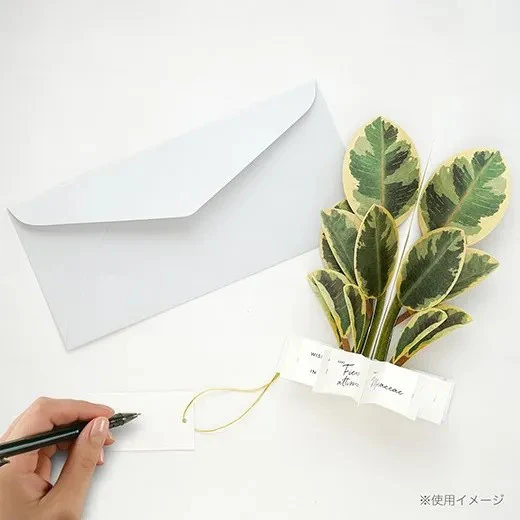 Kartka okolicznościowa 3D Blooming | Fikus - Image 3