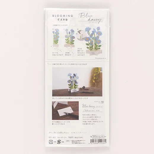 Kartka okolicznościowa 3D Blooming | Niebieskie stokrotki - Image 4