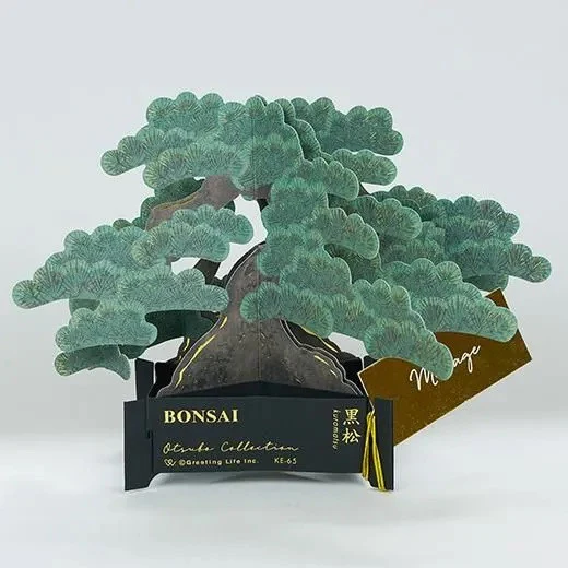 Kartka okolicznościowa 3D Bonsai | Sosna Thunberga - Image 2