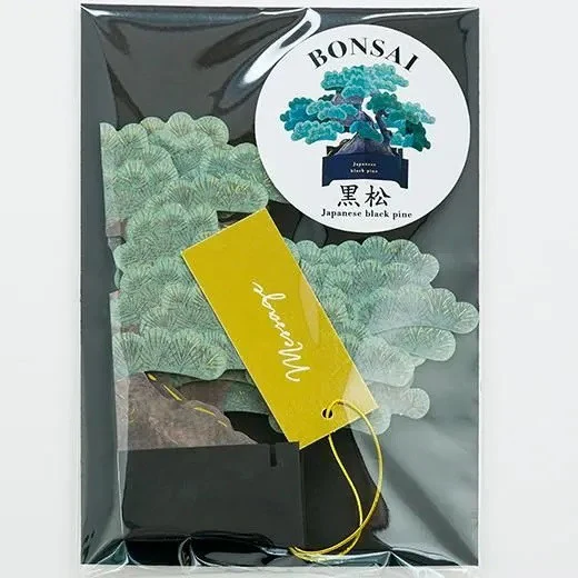 Kartka okolicznościowa 3D Bonsai | Sosna Thunberga - Image 6