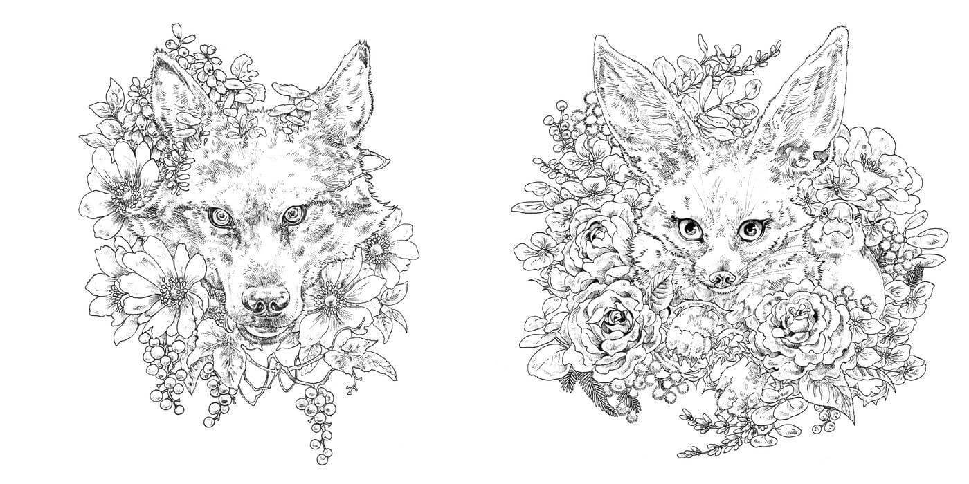 Kolorowanka Livre de Coloriages | Ken Matsuda - Image 2