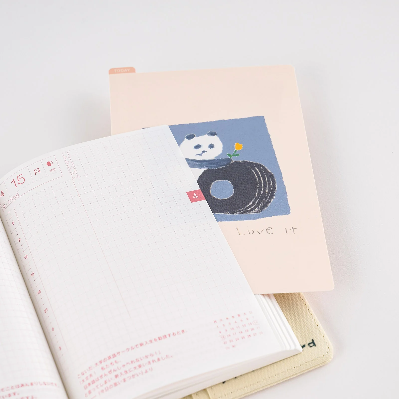 Liniuszek Hobonichi A6 | Jin Kitamura: Love it Panda - Image 4