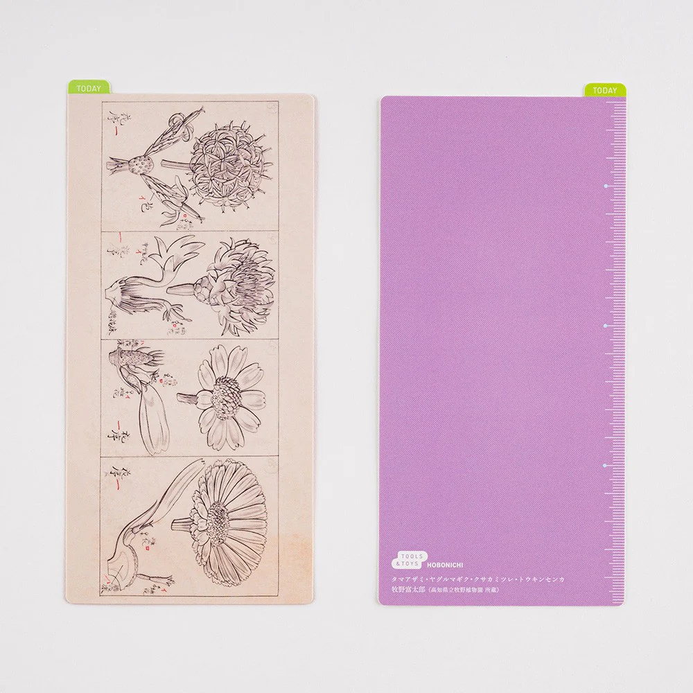 Liniuszek Hobonichi Weeks | Tomitaro Makino - Image 2