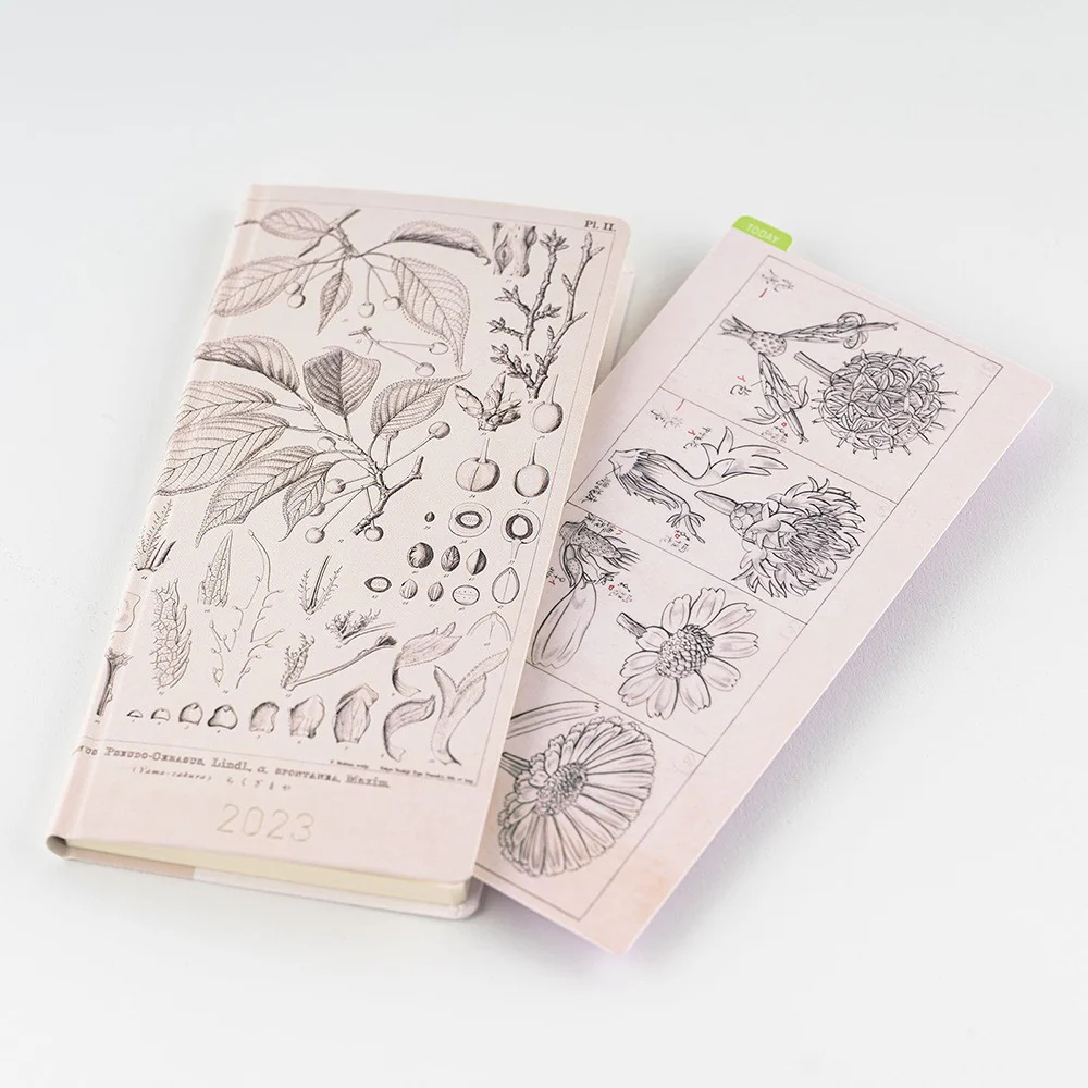 Liniuszek Hobonichi Weeks | Tomitaro Makino - Image 4