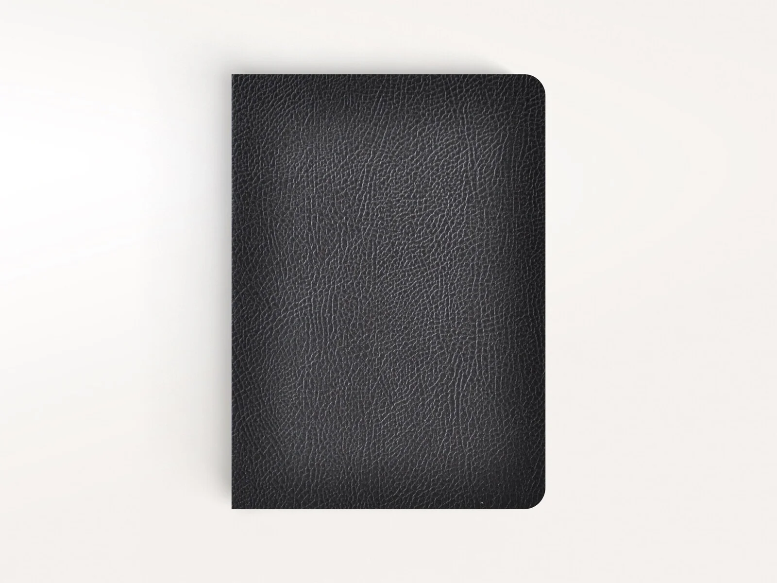 Notatnik CIAK MATE 15x21cm | Linie - Image 3