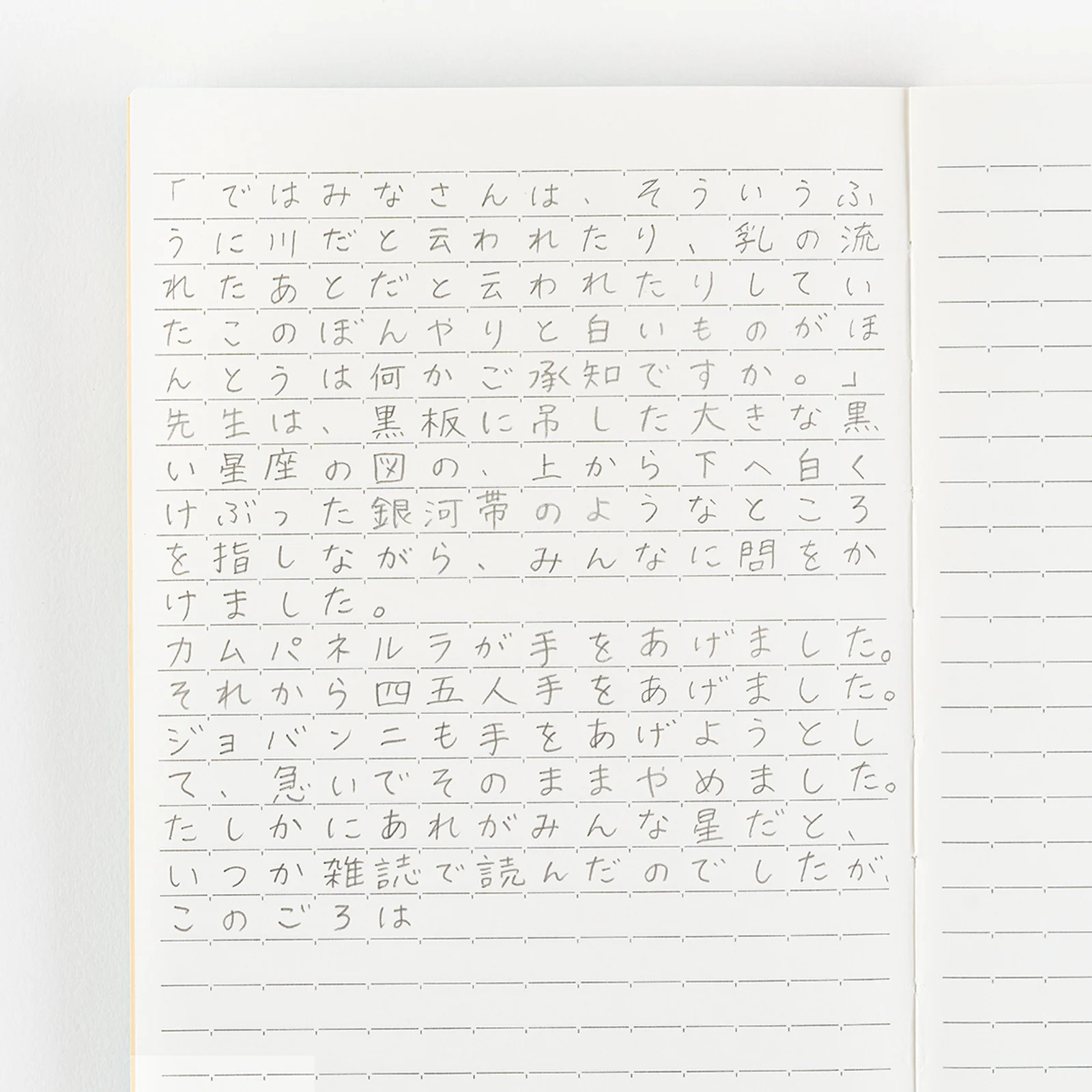 Notatnik Hobonichi A6 | Linie - Image 2