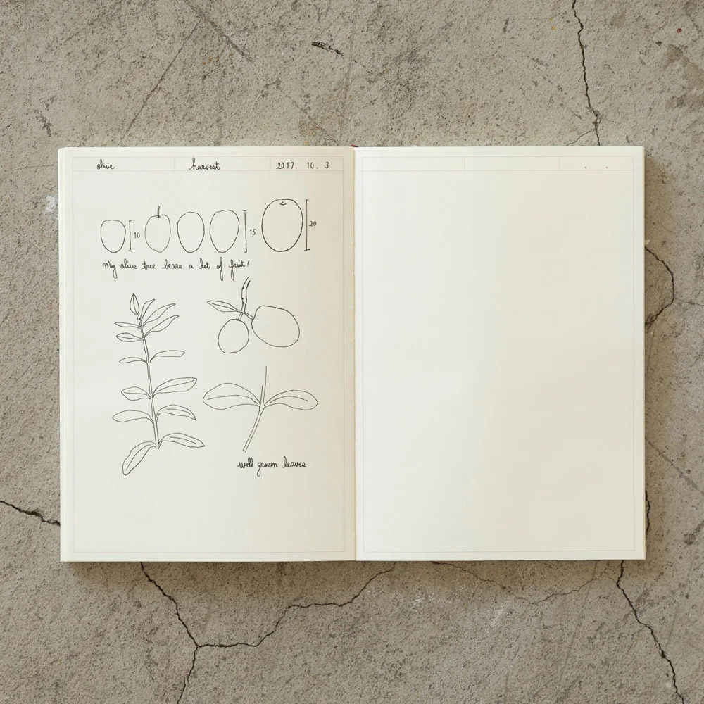 Notatnik MD Paper Journal A5 | Frame | A - Image 7
