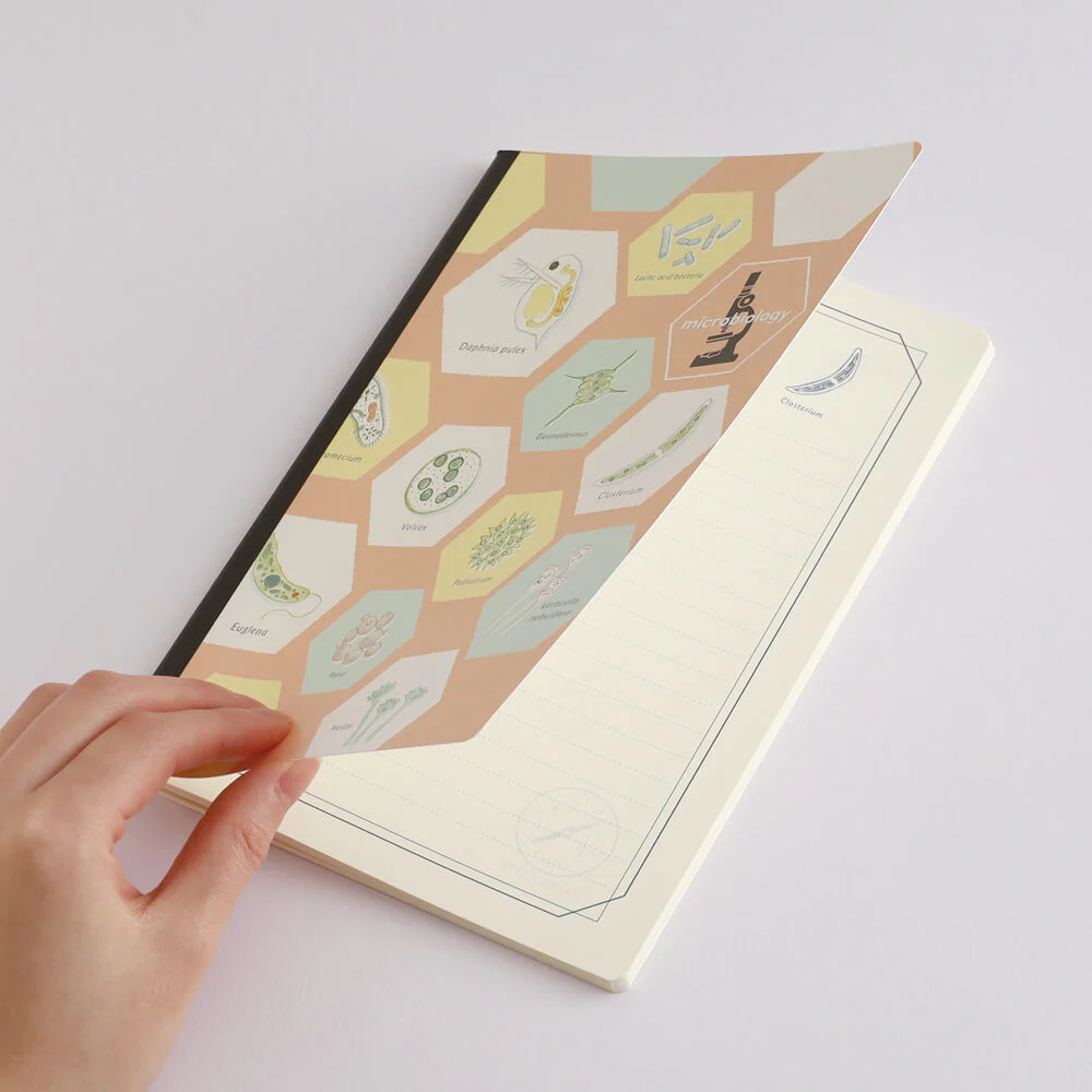 Notatnik Study Holic A5 | Mikrobiologia - Image 4