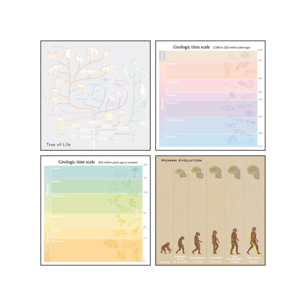 Notes Memo Pad Study Holic | Biologia Ewolucyjna - Image 2