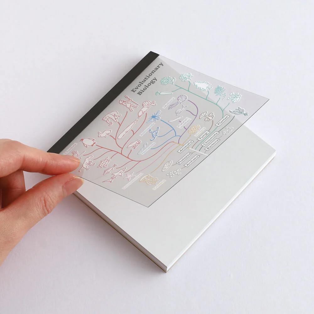 Notes Memo Pad Study Holic | Biologia Ewolucyjna - Image 3