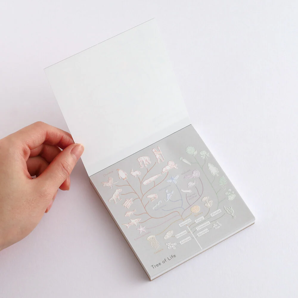 Notes Memo Pad Study Holic | Biologia Ewolucyjna - Image 4