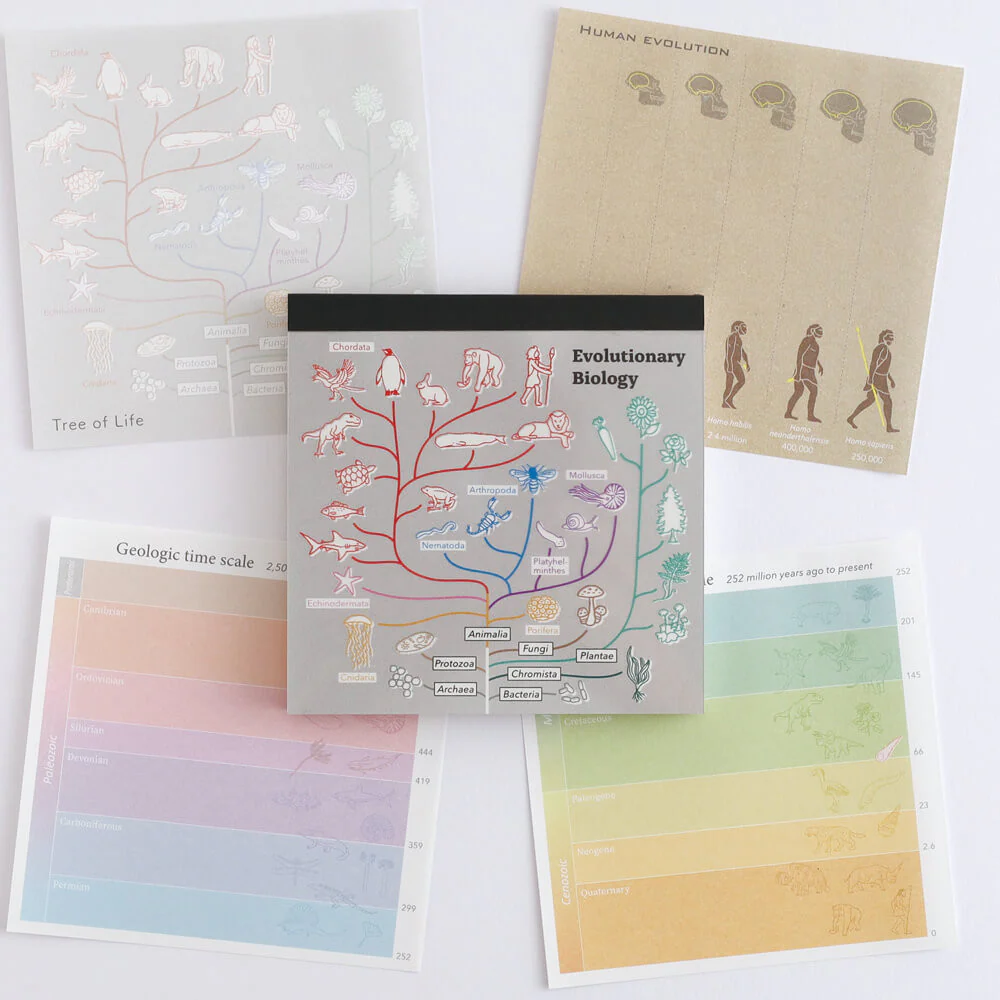 Notes Memo Pad Study Holic | Biologia Ewolucyjna - Image 5