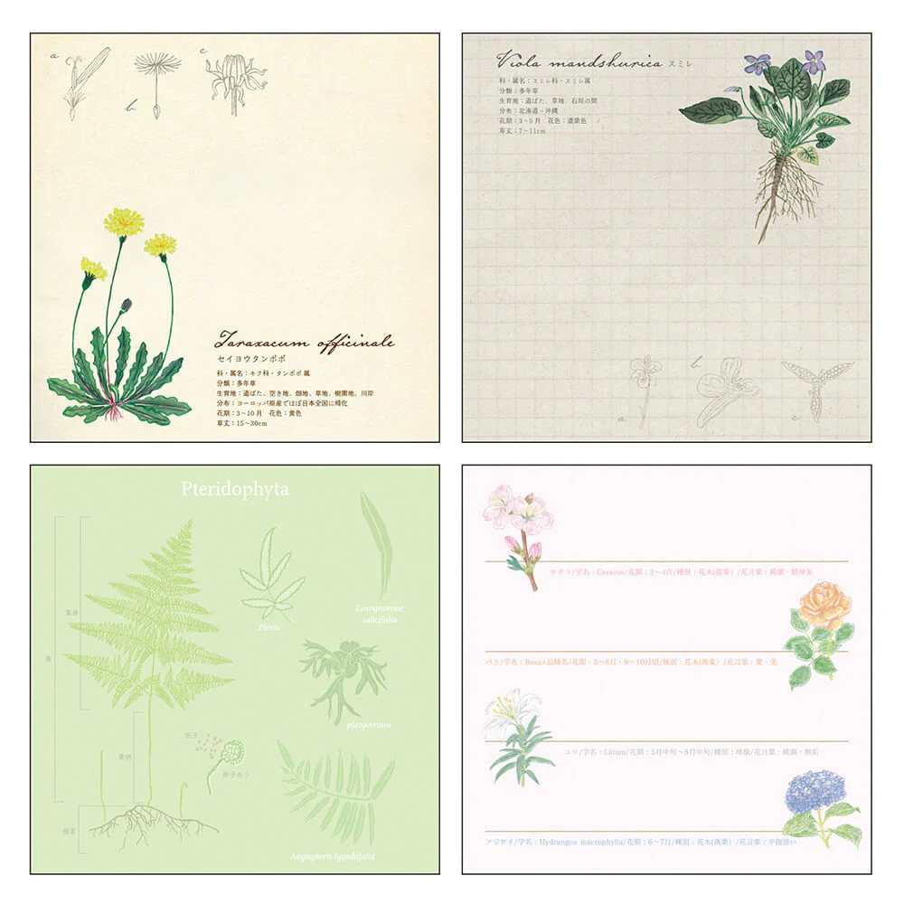 Notes Memo Pad Study Holic | Botanika - Image 2