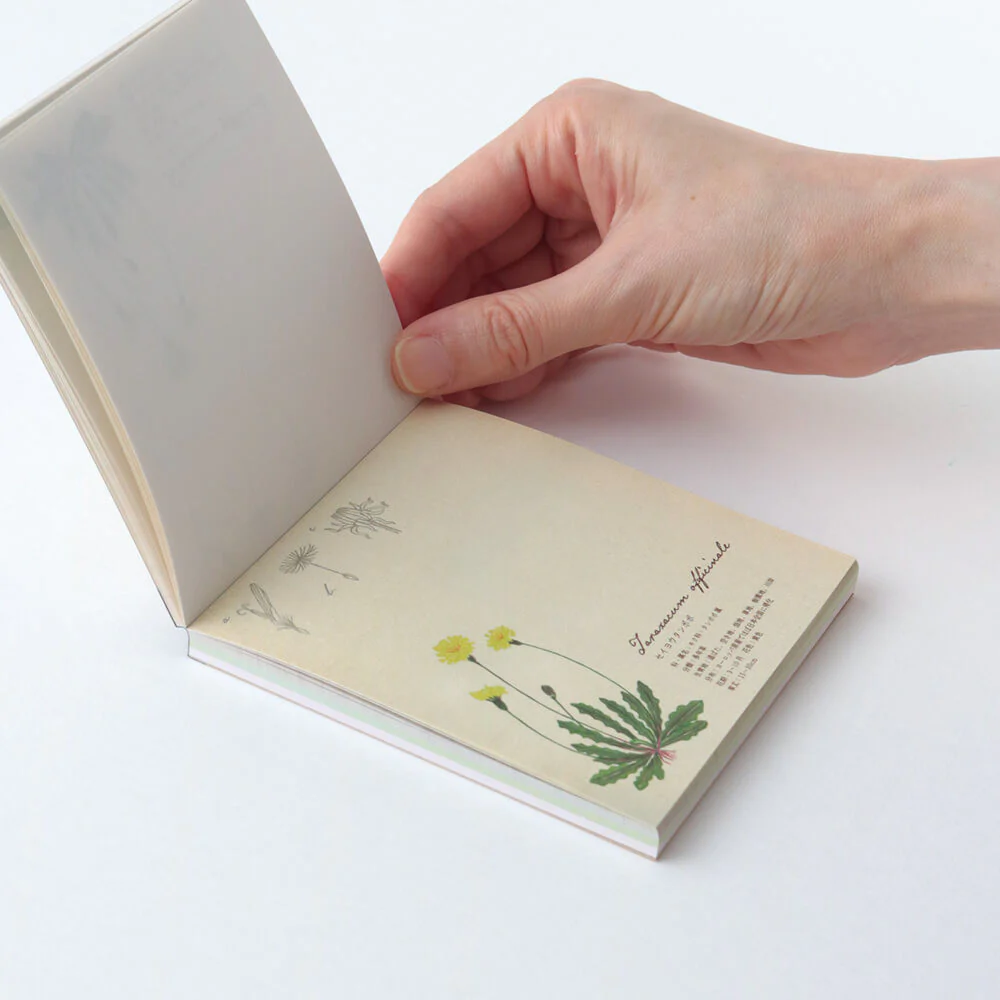 Notes Memo Pad Study Holic | Botanika - Image 4