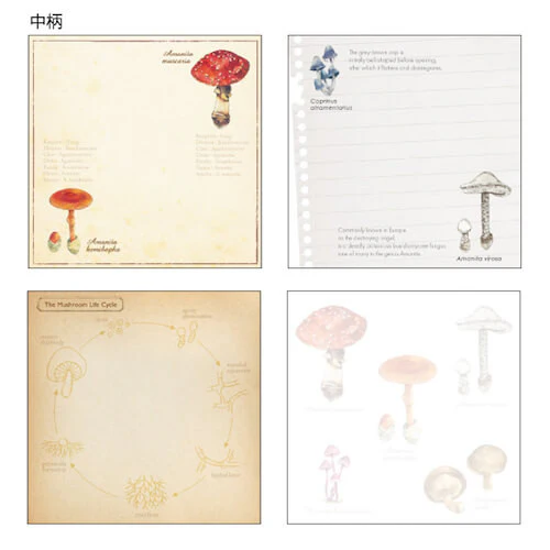 Notes Memo Pad Study Holic | Mykologia - Image 2