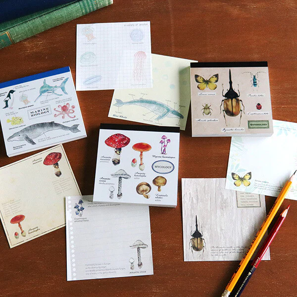 Notes Memo Pad Study Holic | Mykologia - Image 5