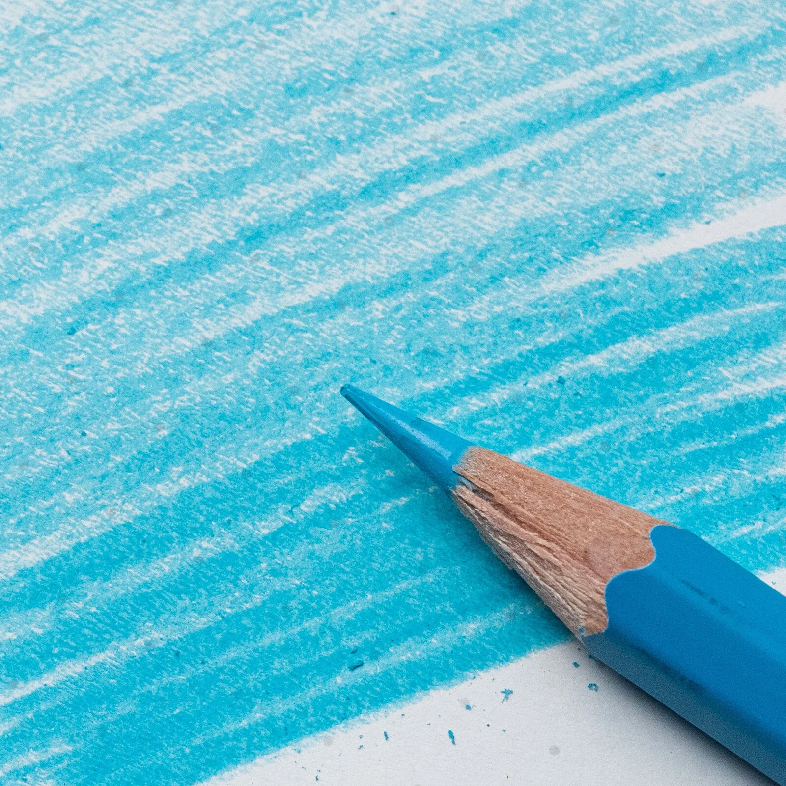 Ołówki BLACKWING Blue | 6 sztuk - Image 6