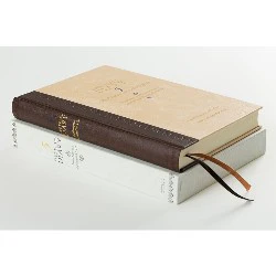 Pamiętnik 5-letni Midori | Yofu - Image 5