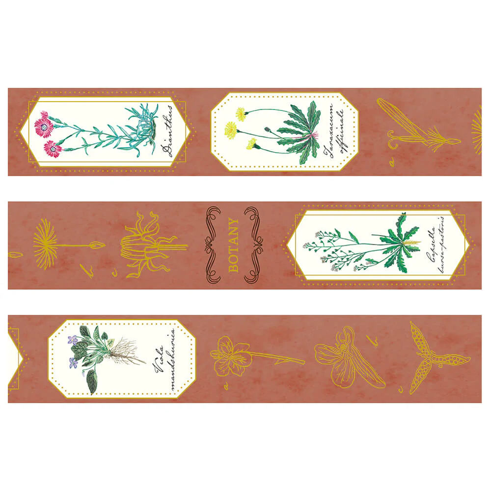 Taśma dekoracyjna Study Holic | Botanika 2 - Image 3