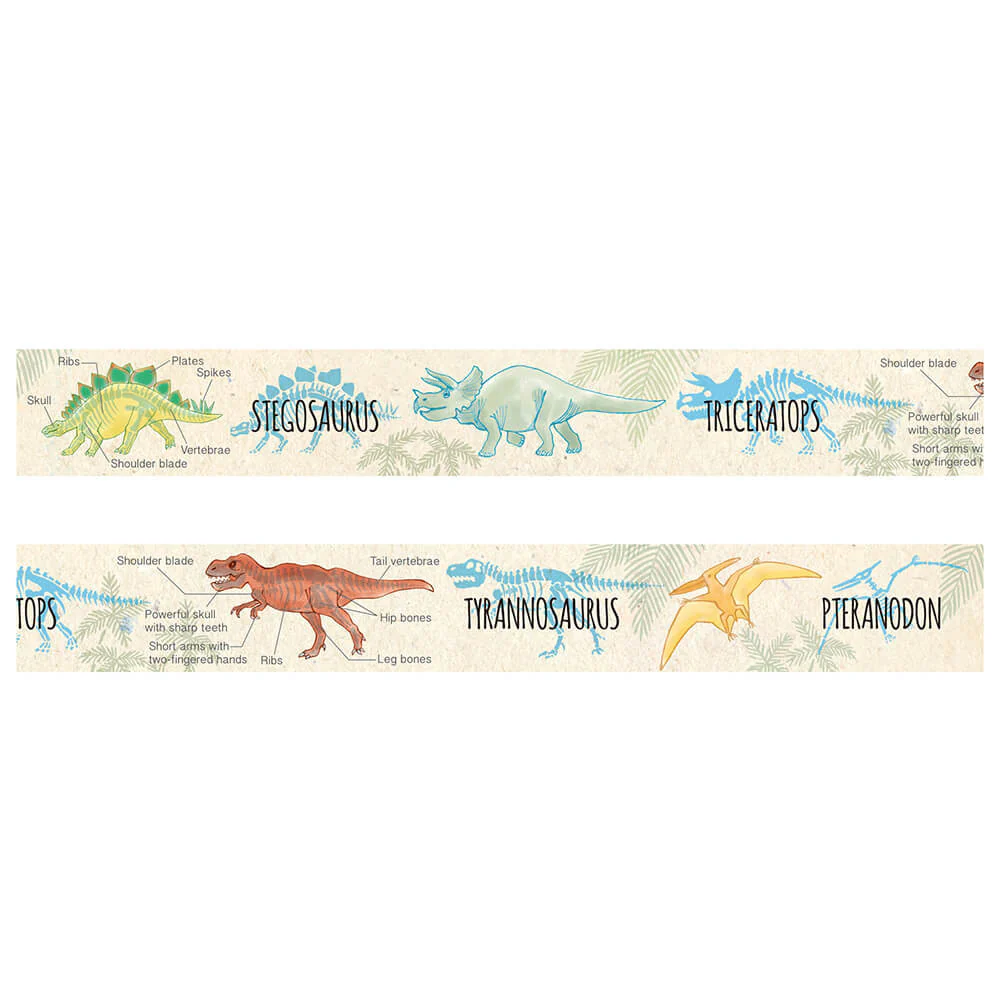 Taśma dekoracyjna Study Holic | Paleontologia - Image 2