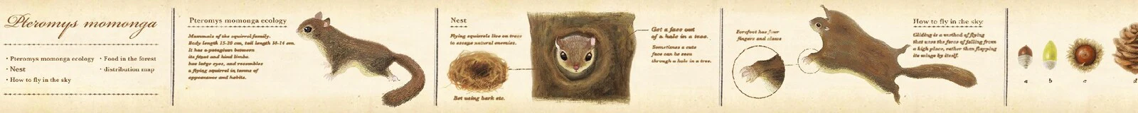 Taśma MT Encyklopedia | Polatuchy - Image 4