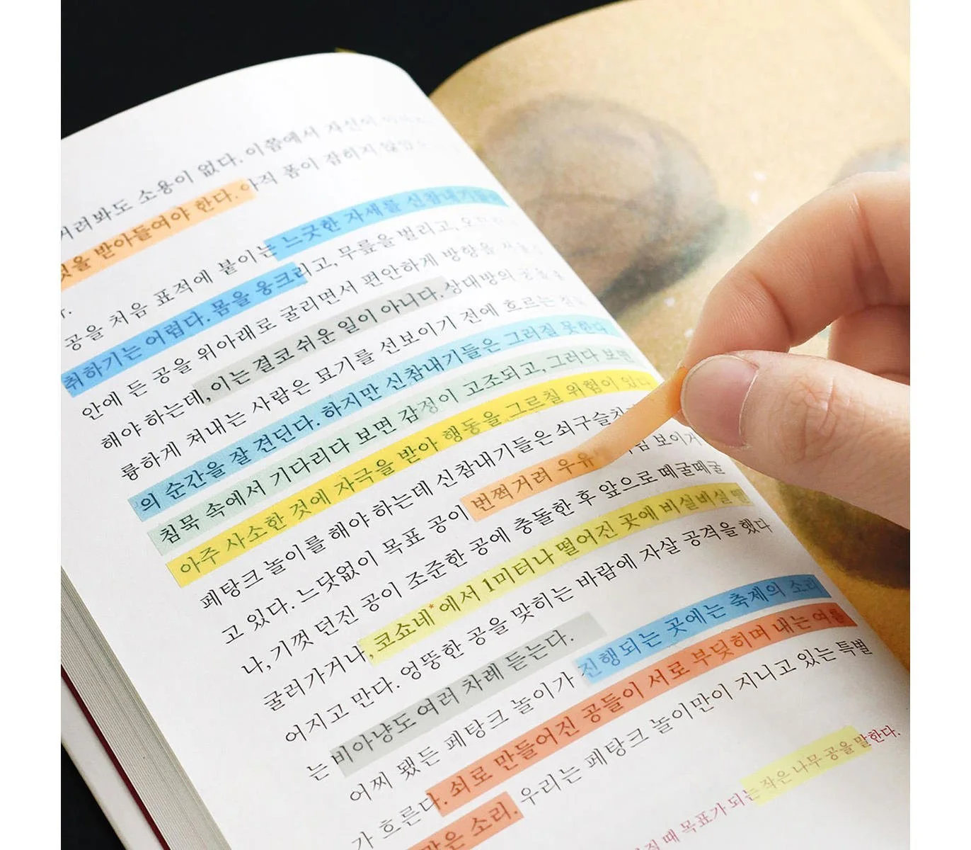 Zakładki indeksujące ICONIC Long Index Highlighter - Image 10